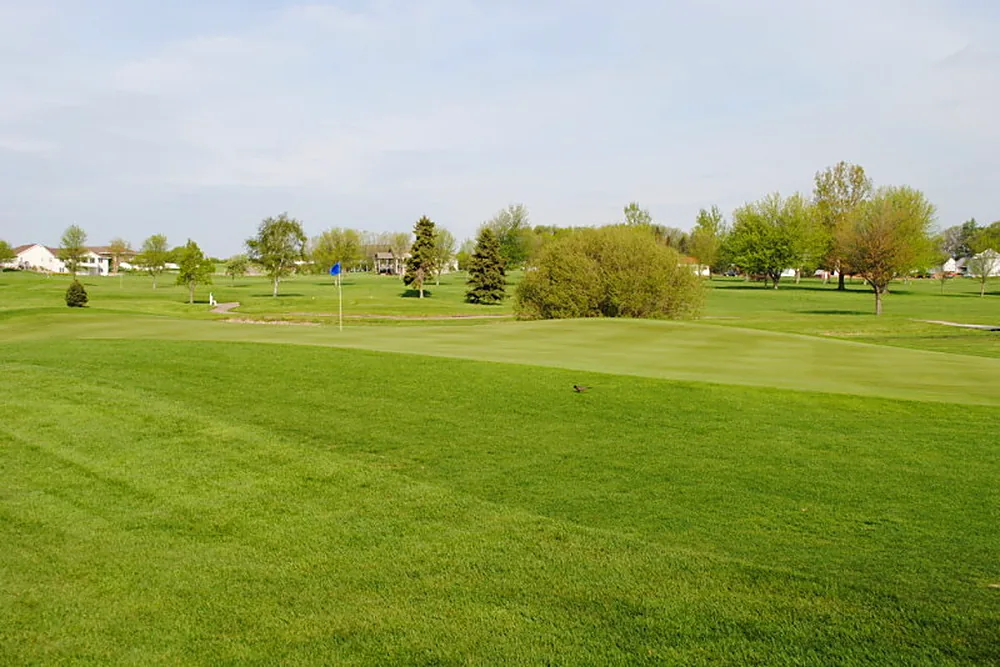 An approach shot into one of the greens at Meadow Acres, flag flying, trees behind